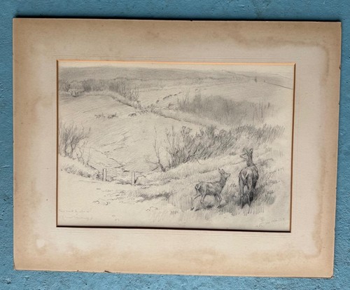 Lionel edwards 1878 1966 - lionel,