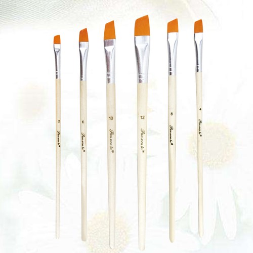 6pcs nylon brushes set - brushes,