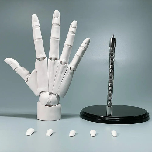 Articulated hand model - articulated,